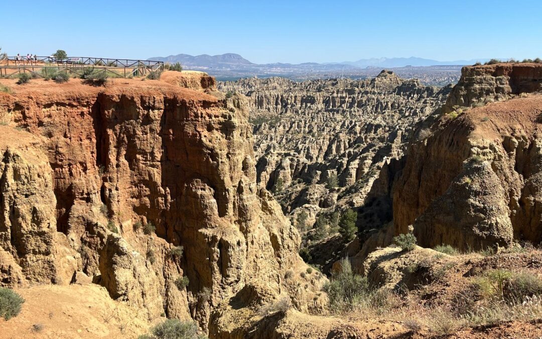 Conciencia y compromiso, en una fantástica jornada de voluntariado ambiental en Marchal