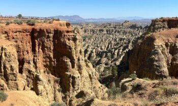 Conciencia y compromiso, en una fantástica jornada de voluntariado ambiental en Marchal