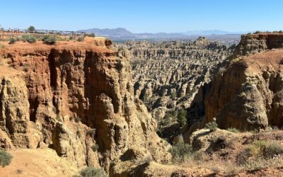 Conciencia y compromiso, en una fantástica jornada de voluntariado ambiental en Marchal