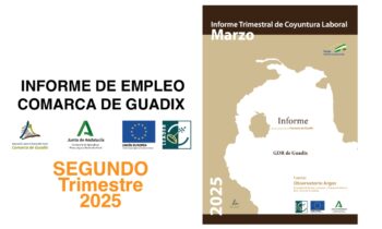 Informe Trimestral de Coyuntura Laboral en la Comarca de Guadix. SEGUNDO trimestre de 2025.