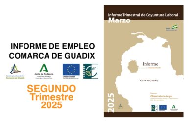 Informe Trimestral de Coyuntura Laboral en la Comarca de Guadix. SEGUNDO trimestre de 2025.