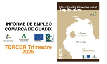 Informe Trimestral de Coyuntura Laboral en la Comarca de Guadix. TERCER trimestre de 2025.