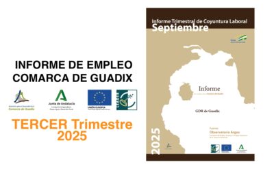 Informe Trimestral de Coyuntura Laboral en la Comarca de Guadix. TERCER trimestre de 2025.