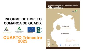 Informe Trimestral de Coyuntura Laboral en la Comarca de Guadix. CUARTO trimestre de 2025.
